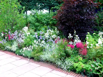 Садовые композиции из цветов: фотография