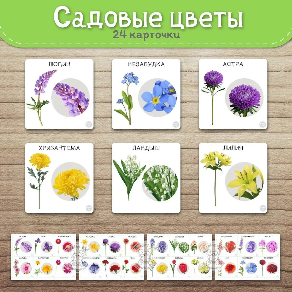 Садовые группы растений. Карточки с изображением цветов. Карточки цветов с названиями. Цветы карточки для детей. Карточки с изображением цветов для детей.