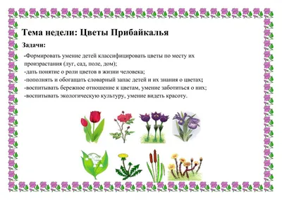 пазлы 63 элемента: Садовые цветы. Пазл детский на подложке (36х28 См., 63  Эл.)