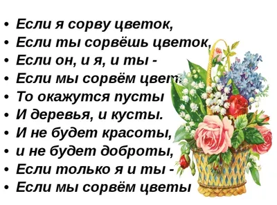 Сидим дома с пользой. Домашнее занятие по теме «Цветы лесные, луговые и  садовые» для детей 4–5 лет (3 фото). Воспитателям детских садов, школьным  учителям и педагогам - Маам.ру