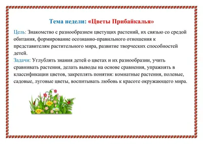 Раскраска лилия и ноготки. раскраска календула цветы, садовые цветы  раскраски