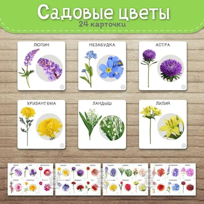 Цветы Садовые Растения Винтаж - Бесплатное изображение на Pixabay - Pixabay