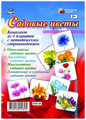 Плакат. Садовые цветы, , Мозаика-Синтез купить книгу 978-5-43150-810-3 –  Лавка Бабуин, Киев, Украина