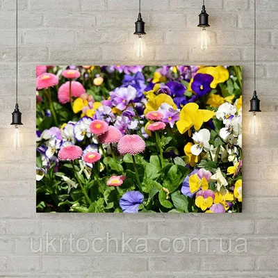 Купить комплект плакатов \"Садовые цветы\": 4 плаката с методическим  сопровождением, цены на Мегамаркет | Артикул: 100025986859