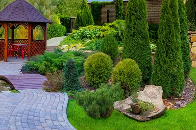 Садовый дизайн для маленького участка: изображение