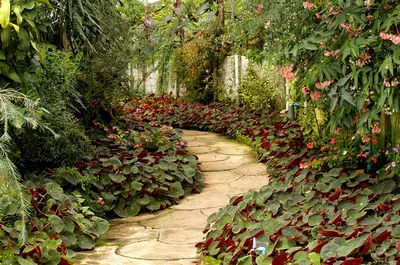 Фотография прекрасного сада, созданного своими руками: формат PNG