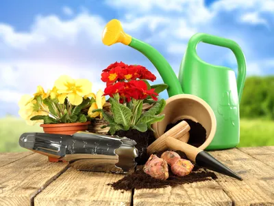 Садовый инвентарь: выбираем лучшие инструменты для ухода за растениями. Фото