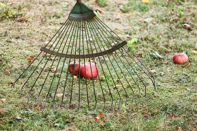 Садовый инвентарь, который поможет вам создать пространство для отдыха: фото