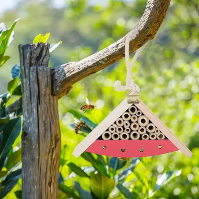 Фотография: Как создать уголок для полезных насекомых в своём саду
