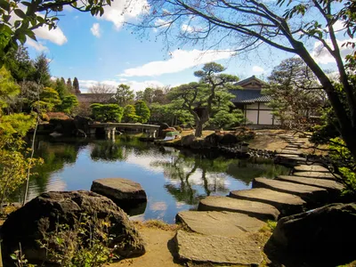 Каменные сады Японии — лучшие композиции и отечественные аналоги | ⚓Блокнот  капитана | Дзен