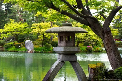 Японские сады - красивые фото