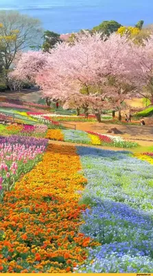 Японский сад в Kanazawa, Японии Стоковое Фото - изображение насчитывающей  весна, япония: 92012176