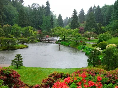Японский сад в Краснодаре 🧭 цена экскурсии 4500 руб., 5 отзывов,  расписание экскурсий в Краснодаре
