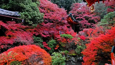 Красивый японский сад в районе в Кагошиме, Японии самураев Chiran Стоковое  Фото - изображение насчитывающей япония, достопримечательностью: 86309318