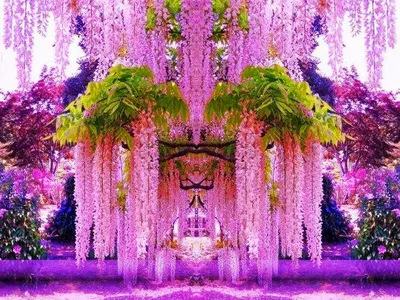5 живописных японских мест в городах России, где можно полюбоваться  цветущей сакурой | Платежная система JCB | Дзен