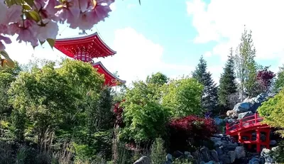 Японский сад: искусство ландшафтного дизайна – журнал PORTES.UA ®