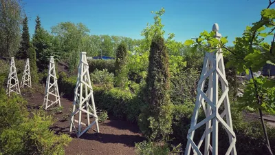 Японский стиль в ландшафтном дизайне (+ фото)