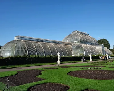 Картинка великолепного ботанического сада в полном расцвете