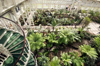 Фото красивого ботанического сада с яркими цветами и зеленью