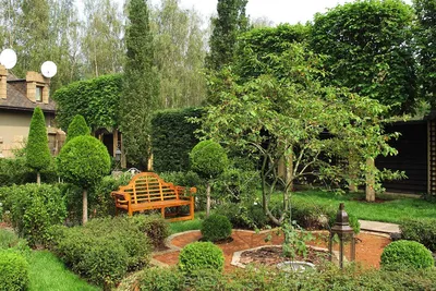 Сады в стиле дзен на фото – идеальное место для релаксации