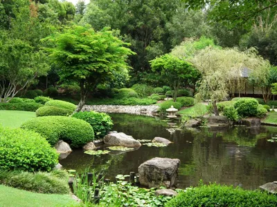 Фотография садов в стиле дзен, которая перенесет вас в мир гармонии