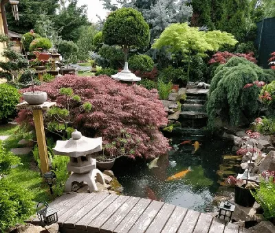 Наслаждайтесь красотой садов в стиле дзен на этой фотографии