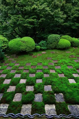 Удивительное изображение садов в стиле дзен, которое заставляет забыть о проблемах