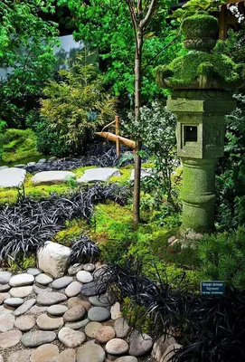 Наслаждайтесь красотой природы на этой фотографии садов в стиле дзен