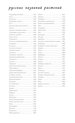 Цикас: какие рекомендации по выбору грунта и горшка?