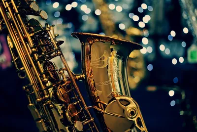Статья, Выбираем саксофон, виды, как выбрать, сравнение, обзор | Muzmart
