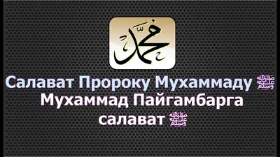 Присоединяйтесь к чтению «1 000 000 салават Пророку Мухаммаду ﷺ» -  Ummet.kz- Үмметпен бірге!