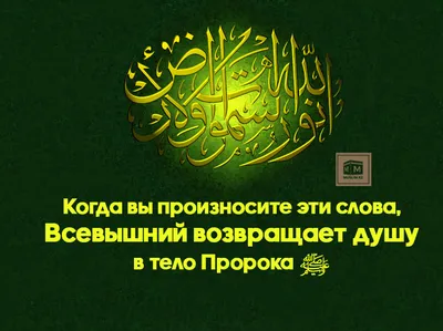 Салават Пророку Мухаммаду (ﷺ) | An-Nur | Дзен