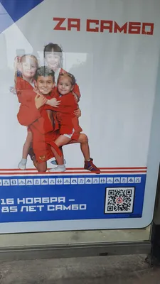 Шорты для самбо детские красный цвет — купить за 949 руб в  интернет-магазине Demix
