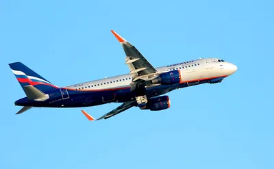 Самолет на взлете и птицах редакционное фотография. изображение  насчитывающей переход - 102817167