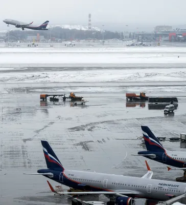 Пассажирский самолет в аэропорту Иркутска при взлете столкнулся со стаей  птиц