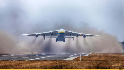 Пассажирский самолет столкнулся со стаей птиц при взлете в аэропорту  Иркутска - Информационный портал Yk24/Як24