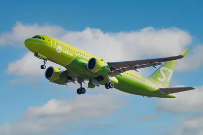 S7 Airlines побелила зеленый самолет: он стал объектом творчества уличного  художника