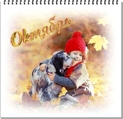 Картинка октябрь, осень | Открытки, Осень, Осенний пейзаж