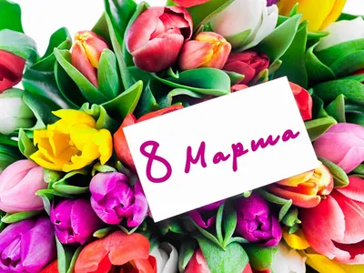 Поздравления с 8 Марта: картинки, открытки и стихи