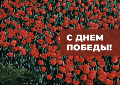 С Днём Победы, с 9 мая | Праздничные открытки, Шаблоны открыток,  Поздравительные открытки