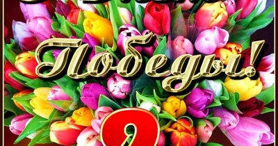 Поделки на 9 мая своими руками - мастер-классы и идеи для детей в школу и  детский сад