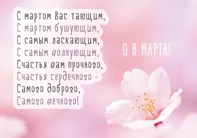 Цветы, которые дарят на 8 марта: список лучших цветов на 8 марта | Блог  Семицветик