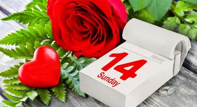 Красивые валентинки с Днем святого Валентина 2021 — УНИАН