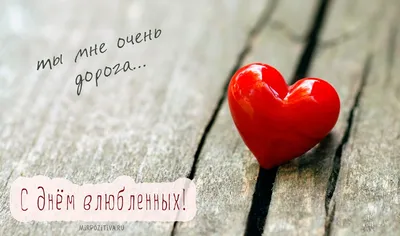 💕СУПЕР ПОЗДРАВЛЕНИЕ С ДНЕМ ВЛЮБЛЕННЫХ💕Красивая видео-открытка💕 - YouTube