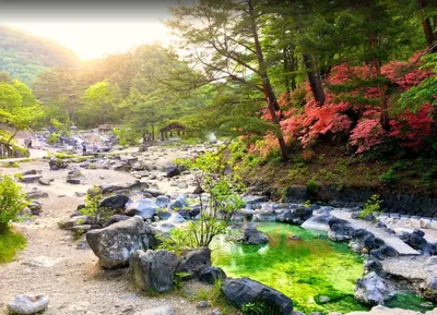 Красивые места по всему миру - Киото, Япония Киото – бывшая столица Японии  на острове Хонсю, которая славится многочисленными буддистскими храмами,  считающиеся памятниками архитектуры, садами, императорскими дворцами,  синтоистскими святилищами и ...