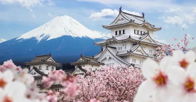 Что посмотреть в Токио — 30 потрясающих мест и развлечений | Planet of  Hotels