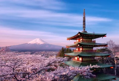 Цветочные парки Японии, японские парки цветов | Японский язык онлайн