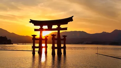 Поездка в Японию: развенчиваем мифы и делимся лайфхаками | Ассоциация  Туроператоров