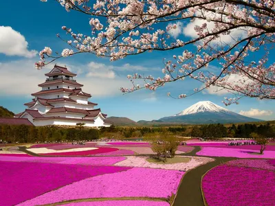 10 мест, которые стоит посетить в Японии | Smapse