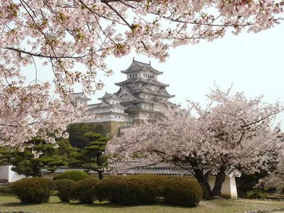 Пеший туризм в Японии | Путеводитель